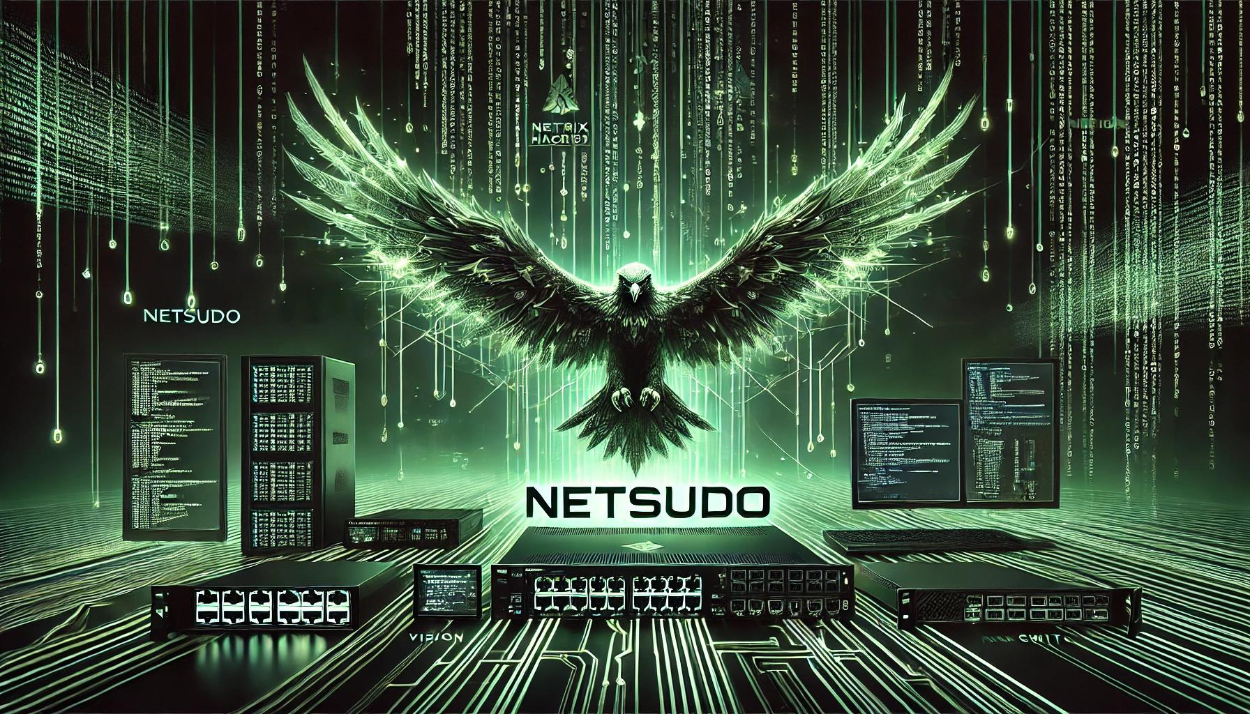 Netsudo Logo